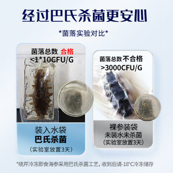 晓芹 大连即食海参 1500g 35-50只 辽刺参 海鲜水产