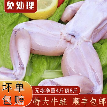 鲜级佳牛蛙鲜活现杀新鲜特大肉蛙肉无冰净重牛蛙腿无冰大号牛蛙4斤