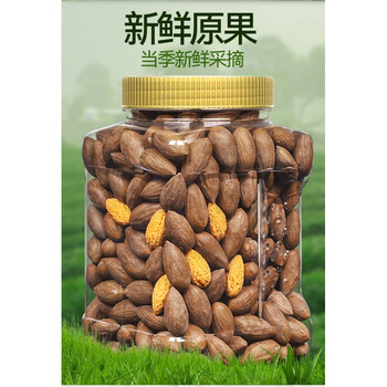 溥畔新货香榧子罐装500g干果香榧诸暨枫桥特产香榧果坚果零食年货