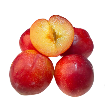 青尊园智利进口樱桃李新鲜李子当季布林李子孕妇水果整箱 1斤精选装