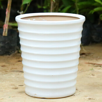 大号陶瓷花盆欧式陶瓷花盆发财树盆金钱树盆简约高筒陶瓷花盆送托