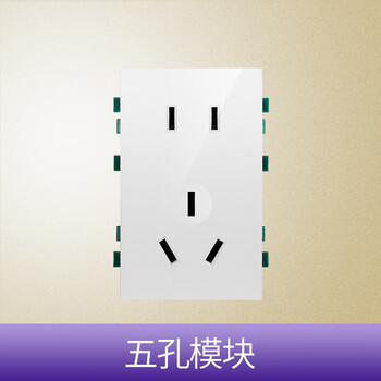 鸿雁120型开关模块自由组合家用FC120白模块 五孔模块（大）