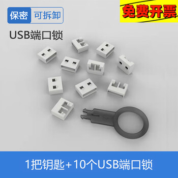 USB可拆卸式安全封口塞封堵端口物理防盗锁2.03.0接口通用网口锁 USB端口锁-透明(10个+1把钥 默认【图片 价格 品牌 报价】-京东