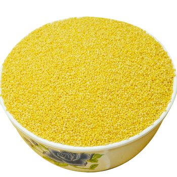 郦狼山东产辉渠小米山东农家小黄米2023年新米山区月子米5斤装子米5斤