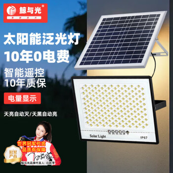 鲸与光 太阳能路灯户外照明灯防水室外灯 一拖一路灯分体式路灯 LED道路灯 满天星-600