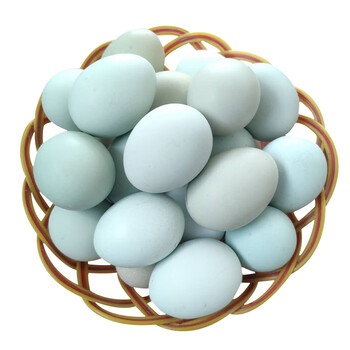 散养土鸡蛋乌鸡蛋新鲜正宗天然30枚 当天草鸡蛋月子蛋 20枚绿壳乌鸡蛋