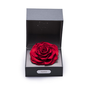鲜花速递 永生花 roselove roselove十二星座进口永生玫瑰星座礼盒