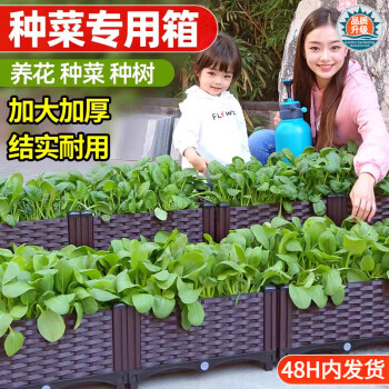 京悠雨德国品质种菜神器家庭阳台长方形塑料特大家用蔬菜专用花盆楼顶花 单层2联(每人限拍1件) 塑料 x 加大款