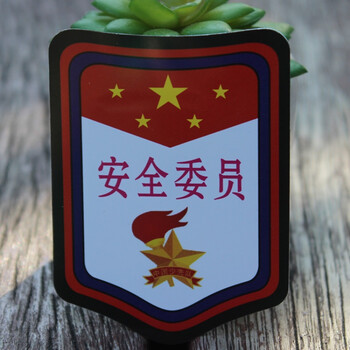 队干标志小学生pvc少先队徽章大小队长组长值日生 黑色 pvc安全委员,1
