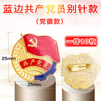 党徽蓝边普通款 别针10枚装