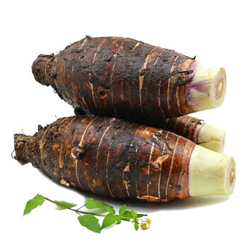 乐昌张溪炮弹芋头 广东韶关特产新鲜现挖粉糯槟榔芋大香芋蔬菜 1个6-7