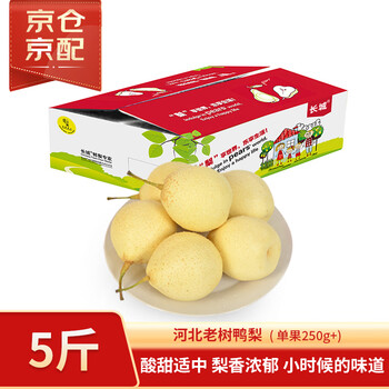 京鲜生 长城河北特级甜鸭梨 净重5斤 单果250g+ 生鲜水果年货礼盒 老树甜鸭梨 5斤装