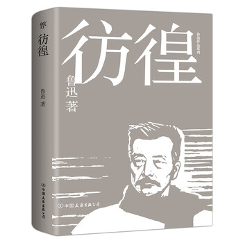 正版现货彷徨中国友谊