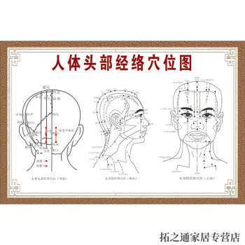 經絡穴位圖解任督二脈中醫養生穴位掛圖海報寫真 人體頭部經絡穴位圖