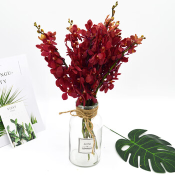 昆明基地直批 鲜花家用直发 全国批发 diy插花 10枝红色千代兰 保鲜剂