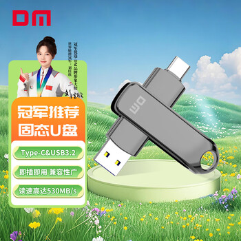 DM大迈 128GB USB3.2 Type-C 高速固态U盘 FS530 手机电脑两用u盘金属车载优盘 读530MB/s