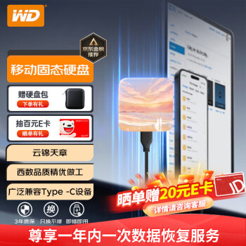 西部数据（WD）移动固态硬盘（PSSD）Elements SE新元素SSD 便携迷你 个性企业定制 手机直连笔记本电脑外接 云景天章 480GB