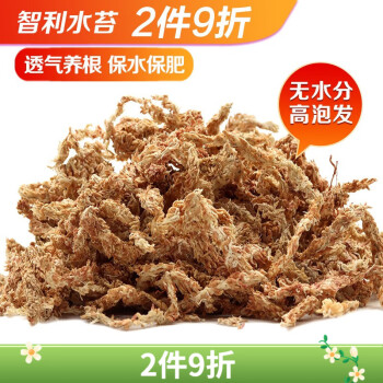 生长魔励 家用园艺智利进口水苔蝴蝶兰专用营养土石斛专用基质多肉干苔藓 2L