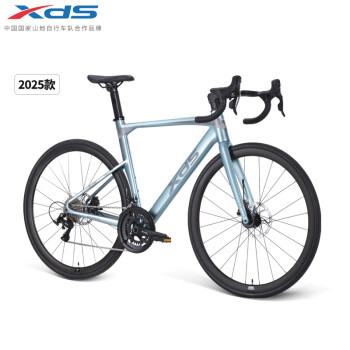 喜德盛（xds）公路车25-AD300油碟UCI车架2x10速中空一体牙盘桶轴车银蛇450MM