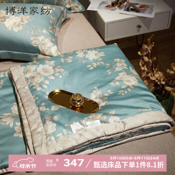 博洋（BEYOND）100%莱赛尔天丝夏凉被空调被薄款夏被可水洗冰丝夏天可用薄被子 40S天丝夏被—蜜雪莉雅 150*210cm