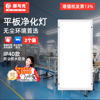 鲸与光 LED净化灯平板灯工业灯吸顶灯明装灯超薄灯洁净灯 无尘车间照明灯 300*600 24瓦（ 2个装）