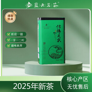 蓝天茗茶河南信阳2025年新茶毛尖绿茶茶叶雨前一级浓香型口粮茶罐装250g
