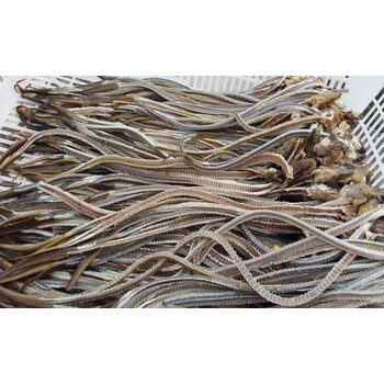 洪泽湖野生黄鳝骨新鲜长鱼骨头晒干鳝鱼骨300g可磨粉原味无盐