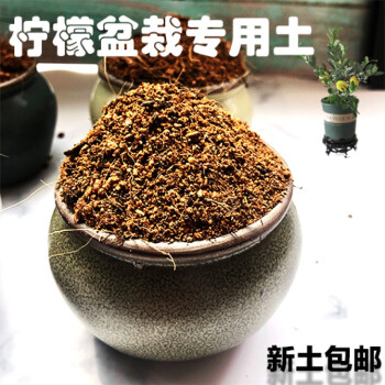 朵絮柠檬树盆栽专用土壤通用营养土家用室内绿植弱酸性沙种植泥土肥料柠檬土5 6kg 图片价格品牌报价 京东