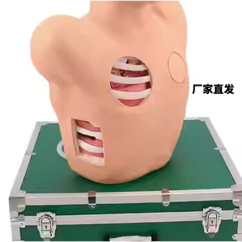 海医HeyModel 胸腔穿刺引流模型 气胸处理模型 医学教学模型 演示用教学L66胸腔闭式引流模型 03018引流模型