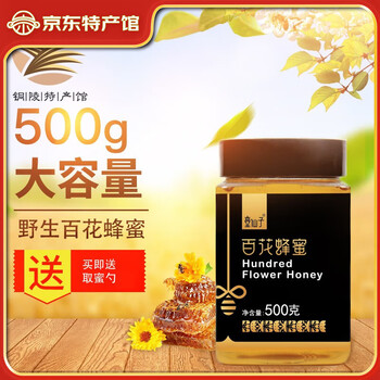 童仙子 年货礼盒   洋槐蜂蜜挤压口 百花蜜早餐牛奶代餐伴侣 百花蜜500g