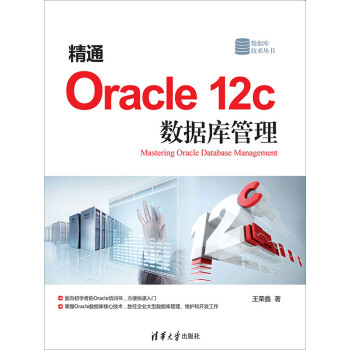 精通Oracle 12c 数据库管理pdf/doc/txt格式电子书下载