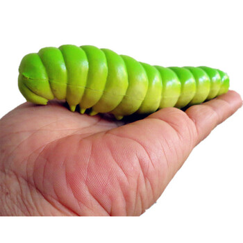 新款大号仿真昆虫模型玩具儿童礼物蜘蛛蝗虫蝎子蛇独角仙