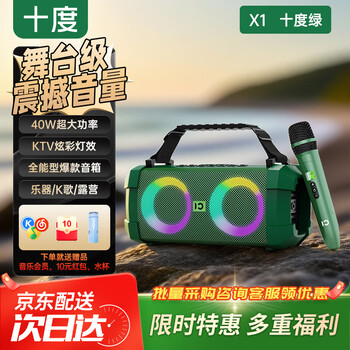 十度（SHIDU）星光X1蓝牙音箱家庭唱歌ktv音箱户外娱乐音响便携广场舞k歌麦克风音响一体大功率高品质重低音炮 X1星光 【十度绿】