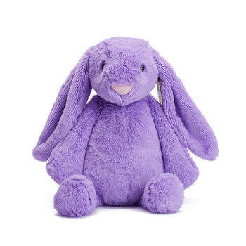 邦尼兔公仔玩偶 邦妮兔小白兔子毛绒玩具抱枕布娃娃儿童生日礼物p定制