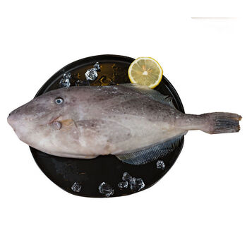 特大扒皮鱼耗儿鱼新鲜剥皮鱼鲜活冷冻马面鱼大扒皮鱼海鲜水产 1条 特