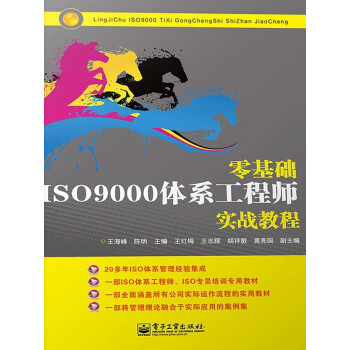 零基础ISO9000体系工程师实战教程pdf/doc/txt格式电子书下载