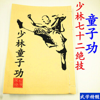 货】少林童子功武术内功秘传秘籍古书画教学硬气功武当纯阳功铁布衫功