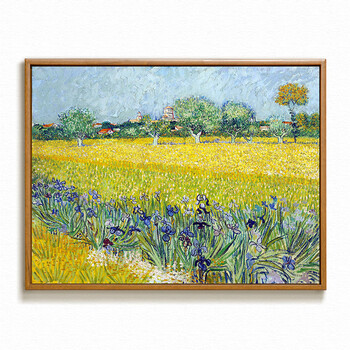 捡漏a断码北欧装饰画客厅餐厅卧室简约现代挂画莫奈梵高油画 梵高鸢尾