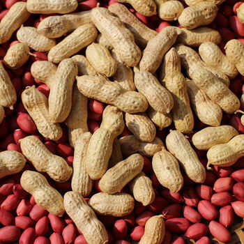 晒干带壳生花生红皮3斤