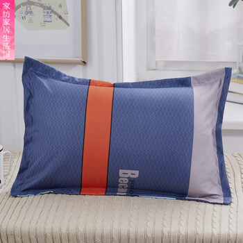 太空棉枕头枕芯一对枕头一对枕头被子套装男成人情侣紫罗兰羽绒 单只