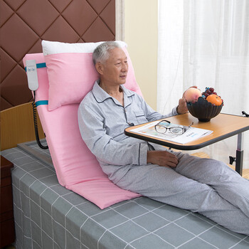 孝德嘉(xiaodejia) 老年人电动升降辅助起身起床器靠背架家用护理床