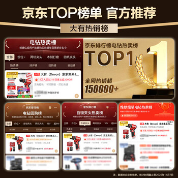 大有（Devon）京东集采JC系列12V无刷冲击手电钻电动螺丝刀电动工具5209U塑盒装 - 3