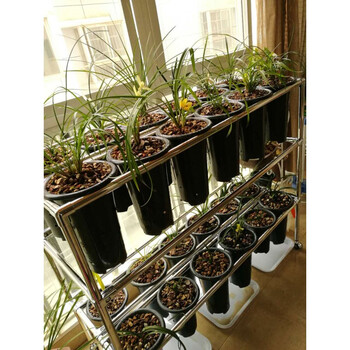 精品不锈钢兰花架兰架每层每排可移动兰花专用不锈钢兰花架多层三层六