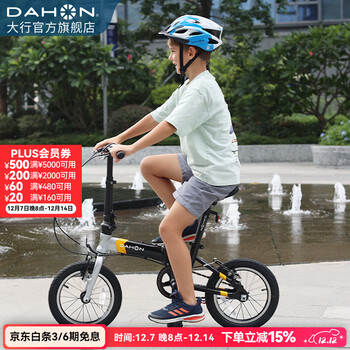 大行（DAHON） 自行车头盔青少年男女学生骑行头盔轮滑安全护具 浅蓝色