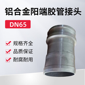 蓝宇星琳 3611铝合金阳端胶管接头DN65 1个