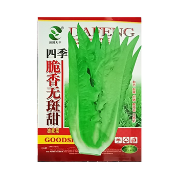 民汇园四季种植油麦菜种子油麦菜种子莜麦菜籽长叶莴苣种子无斑脆香耐热耐寒抗病耐抽苔易栽培四季脆香无斑甜油麦菜10克 袋 图片价格品牌报价 京东