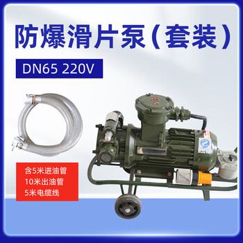 军华 Ex滑片泵抽油泵输油泵DN65 2.5寸 220V （套装）含5米进油管，10米出油管，5米电缆线 油库油料器材