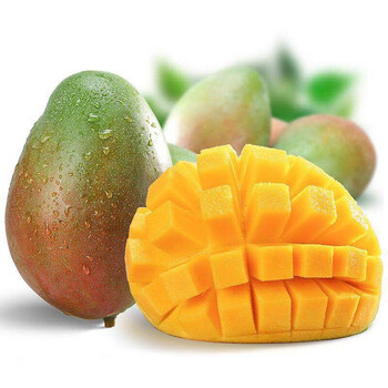 四川芒果攀枝花凯特芒新鲜水果青芒果3斤/5斤/9斤 3斤大果【2-3个】