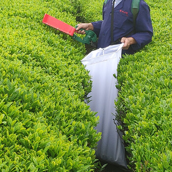 采茶机电动剪茶机单人修枝剪充电式绿篱机小型采摘机便携式绿篱机手提