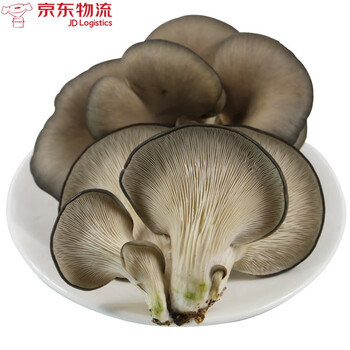 采缇(caiti)平菇 新鲜平菇侧耳蘑菇食用菌包农家种植蔬菜 3斤 精选装